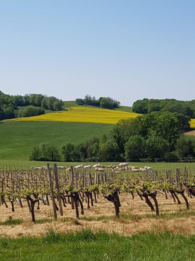 Camping D'Artagnan Margouet-Meymes Exteriér fotografie
